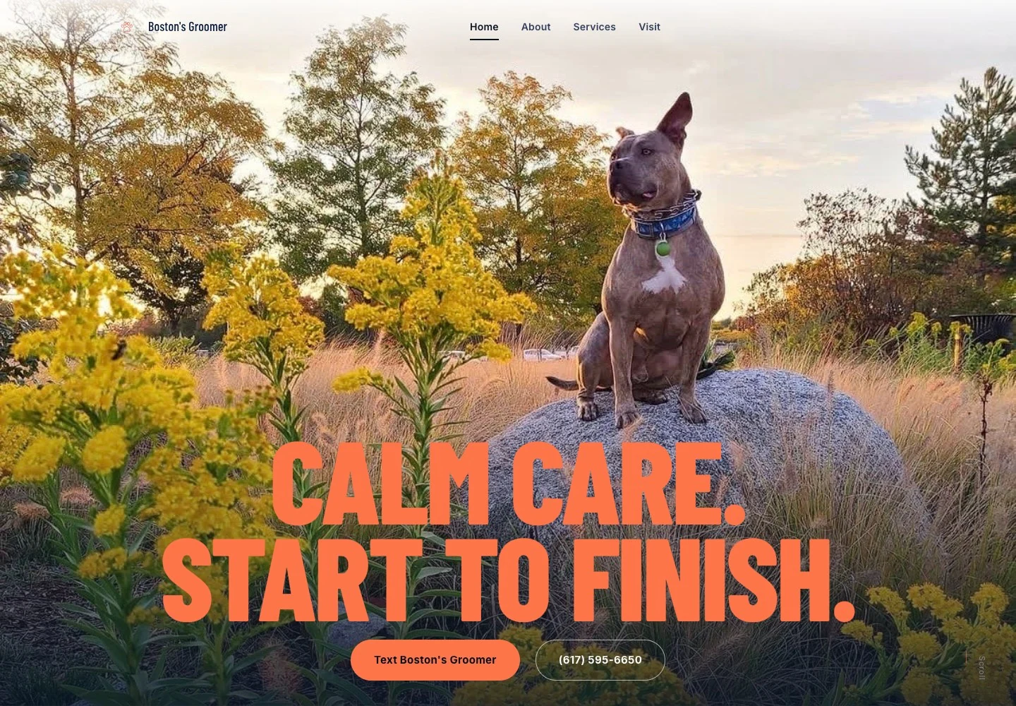 Boston's Groomers website homepage